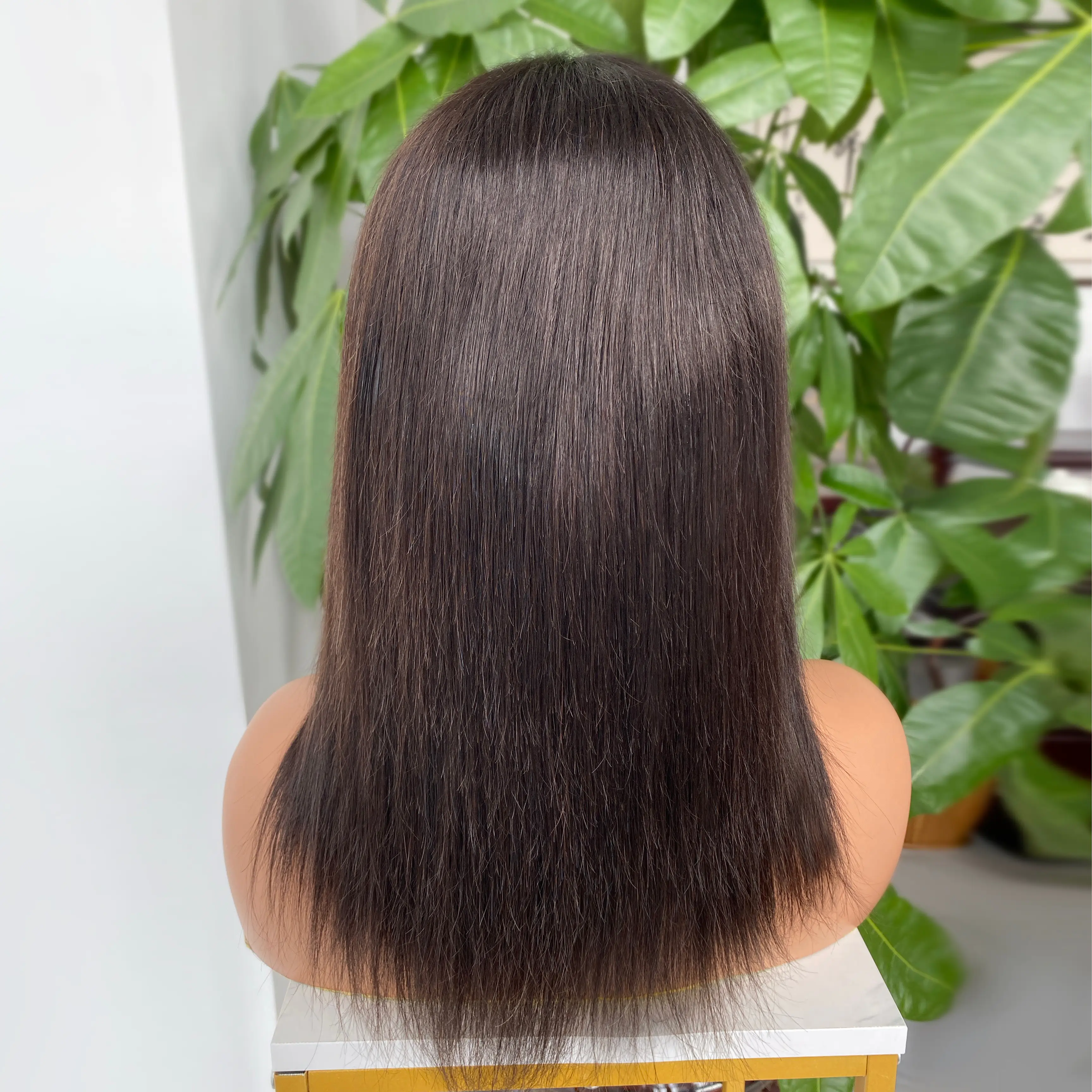 Virgin Human Hair Mono Top Wigs Silk Straight